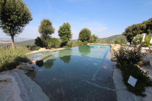a pool of water with trees and mountains in the background at Borgo Mommialla Boscaiola in Bagni di Mommialla