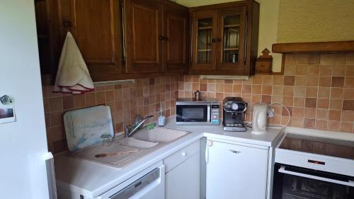 une cuisine avec un évier et un micro-ondes dans l'établissement Chalet de caractère, à Alex