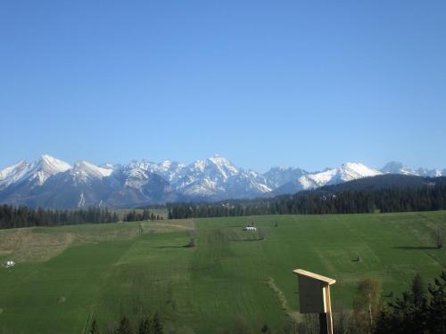 a green field with snow covered mountains in the background at Apartamenty u Lolka in Bukowina Tatrzańska