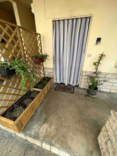a patio with plants and a window with a curtain at Entire Apartment FabryExperience in Mozzanica