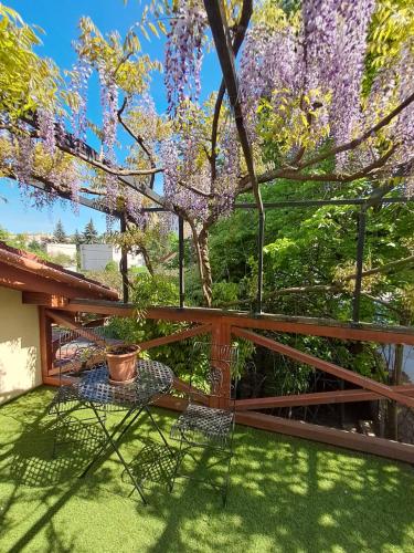 Balassi apartment -with green terrace&bike
