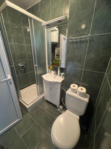 a bathroom with a toilet and a shower and a sink at Apartman Maslinjak in Krašići