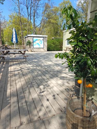 a patio with a picnic table and a blue umbrella at Frederiksværk Camping & Hostel in Frederiksværk