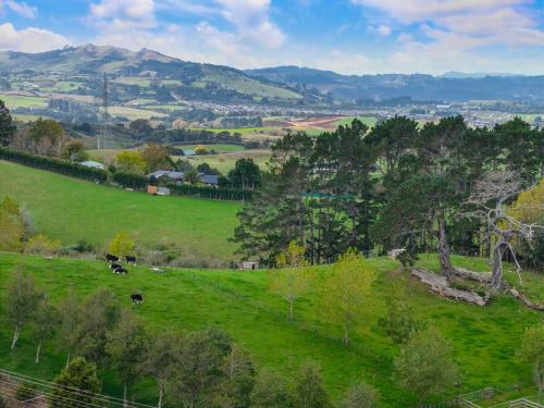 a green field with a cow on a hill at Pine Hill Cottage -Auckland in Tuakau