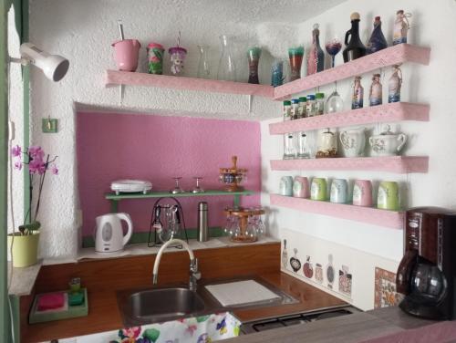 a kitchen with pink shelves and a sink at By Artist in Pićan