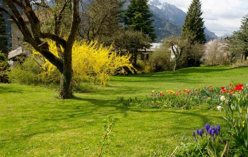 a garden with flowers and a tree in the grass at B&B Rossodisera in Domegge di Cadore