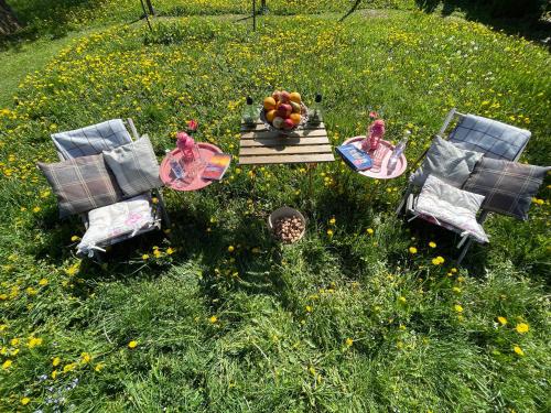 a table and chairs in a field of flowers at K&B Residence in Jarosław