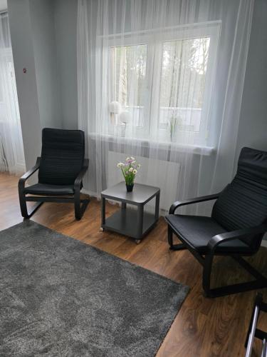 two chairs and a table in a living room at Hyllstofta lägenhet in Klippan