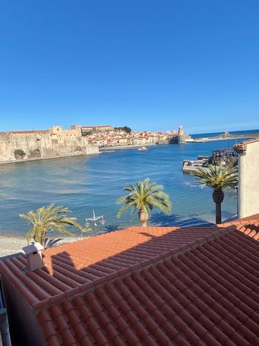 - une vue sur une étendue d'eau bordée de palmiers dans l'établissement Le Boutigué, à Collioure