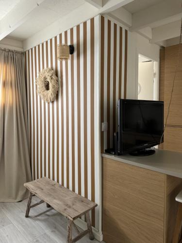 - un salon avec une télévision et un mur en bois dans l'établissement Maison cosy, wifi terrasse, proche plage, gare, centre, à Arcachon