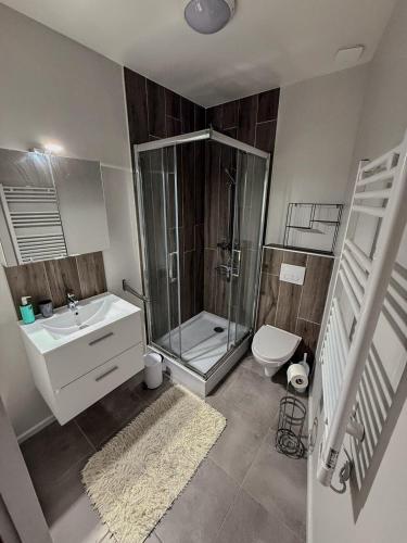 une salle de bain avec une douche, un lavabo et des toilettes dans l'établissement Studio Lumineux Proche Centre et Port, à Port-Vendres