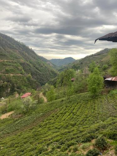 Landskap semula jadi dekat dengan chalet
