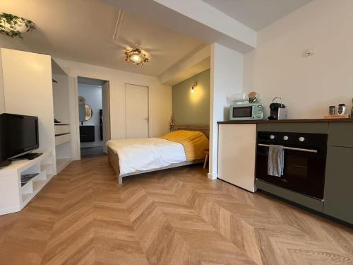 une chambre avec un lit et une télévision dans une pièce dans l'établissement Appartement cosy - Clermont-Fd - 2 J Girod, à Clermont-Ferrand