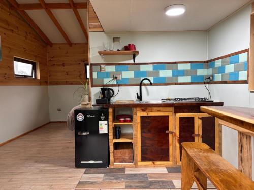 uma cozinha com um fogão e um lavatório num quarto em Cabañas Rewe del Maulllin em Puerto Varas