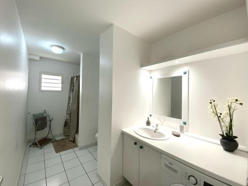 a white bathroom with a sink and a mirror at Mayani in Gourbeyre