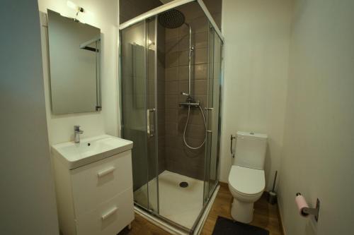 une salle de bain avec une douche, des toilettes et un lavabo dans l'établissement Chambres 18m2, SDB PV, Centre, WIFI, Appart 100m2, à Tourcoing