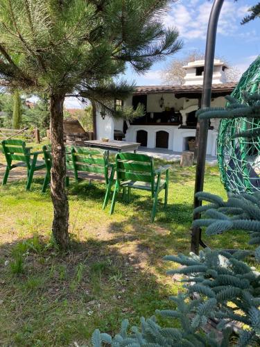 Κήπος έξω από το Cabana Vadim