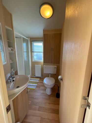 a bathroom with a white toilet and a sink at Cambrian Rio Caravan in Ynys-lâs Station