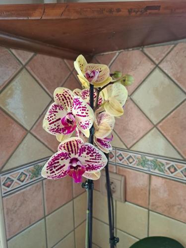 un vase avec des fleurs roses et blanches sur un sol carrelé dans l'établissement L'Escapade en Loire, à Saumur