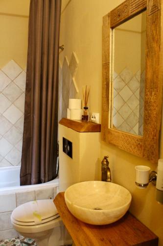 a bathroom with a sink and a toilet and a mirror at Pensiunea Agora in Cisnadioara