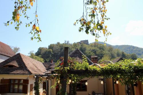 a house with a mountain in the background at Pensiunea Agora in Cisnadioara
