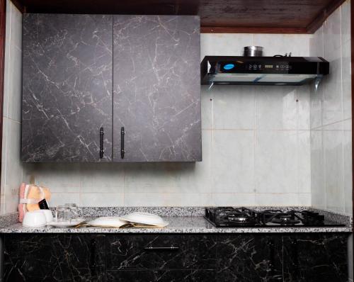 Kuchyň nebo kuchyňský kout v ubytování Ham luxuary Appartment