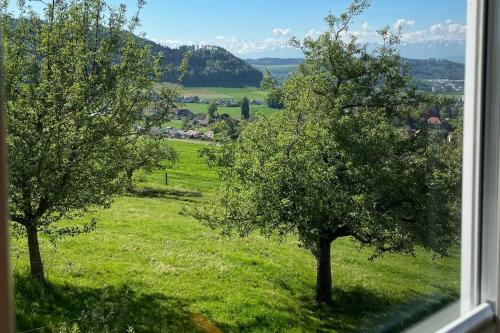 a window with two trees in a green field at Apartment in Bolligen in Bolligen