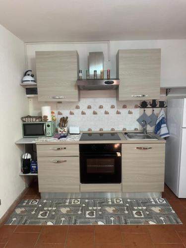 a kitchen with a stove and a sink in it at Oasi degli ulivi in Luni