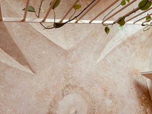 a ceiling of a building with a plant at Sottolavolta in Lecce