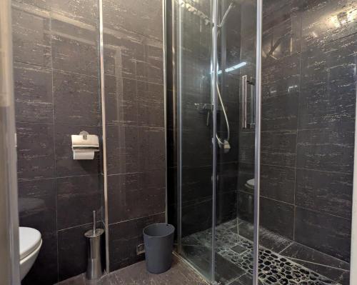 une salle de bain avec une douche en verre et des toilettes dans l'établissement Charming pied-à-terre - Marais, à Paris