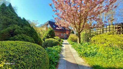 a garden with a sidewalk and a tree and bushes at Ostsee Hotel-Pension An der Lindenallee in Bad Doberan