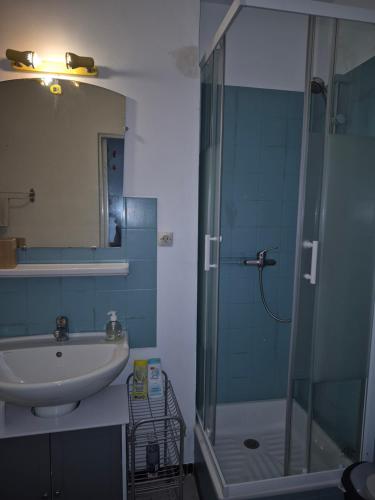 Un baño con ducha de cristal y lavabo. en Studio KAAN avec terasse 5mn Basel Airport, en Saint-Louis