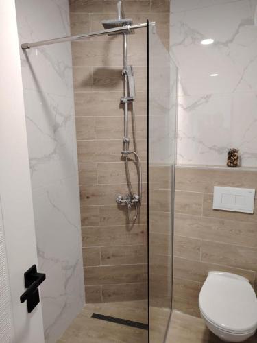 a bathroom with a glass shower with a toilet at Apartman 84 Obradovic in Veliko Gradište