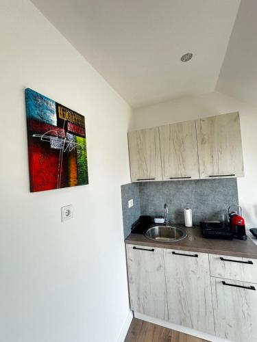 a kitchen with a sink and a poster on the wall at Airport Apartments MM in Golubovci