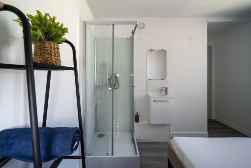 une salle de bain avec une douche avec une porte vitrée dans l'établissement T5 Confort & Style - a deux pas de la piscine Olympique, gare et commerces, à Montpellier