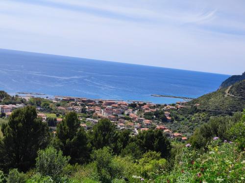 a town on a hill with the ocean in the background at IL CONTE DI MARRAONE in Agnone
