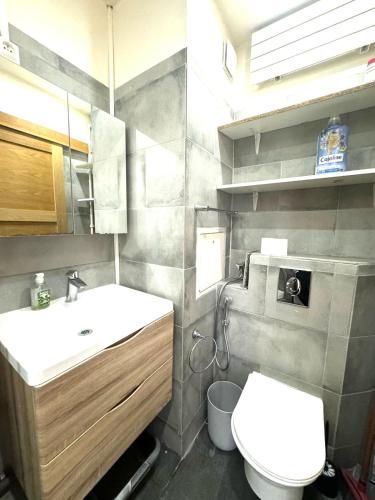 une salle de bain avec un lavabo et des toilettes dans l'établissement Appartements Paris Expo Versailles, à Paris