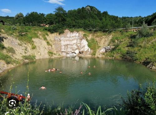 a group of people swimming in a pond at Pensiunea Deceneu in Slănic