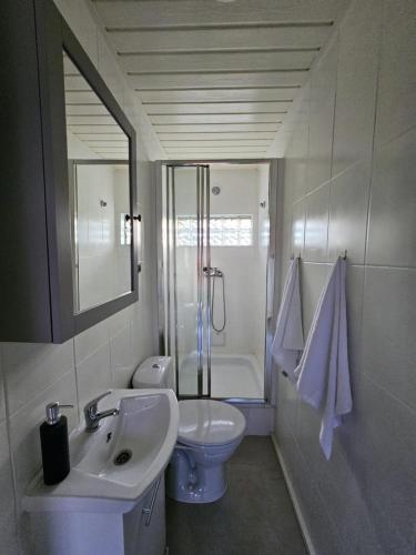 a bathroom with a sink and a toilet and a shower at Bajkowa Przystań in Pokrzywna