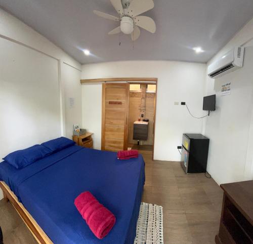 Postel nebo postele na pokoji v ubytování Apartamentos en el Centro de Puerto Viejo