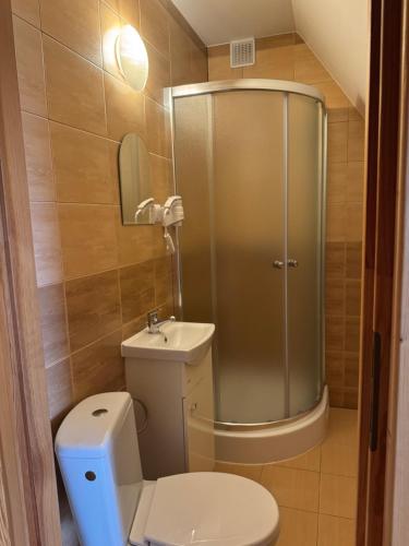 a small bathroom with a toilet and a shower at Pokoje u Walkoszów in Ząb