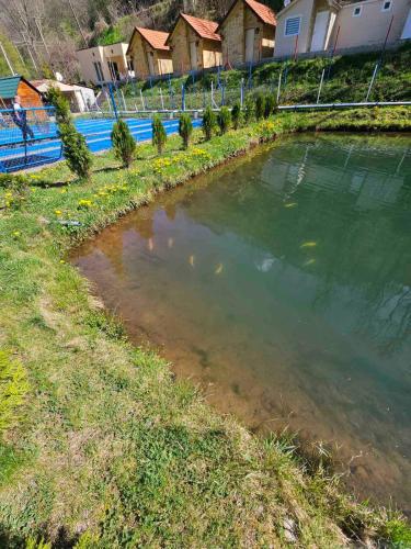 a pond of water with a group of kites in it at Prenociste Vranjska banja in Vranjska Banja