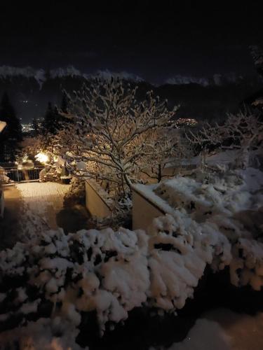 a group of snow covered trees at night at Apartment FreiRaum in Innsbruck