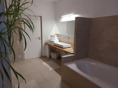 a bathroom with a bath tub and a plant at Apartment FreiRaum in Innsbruck