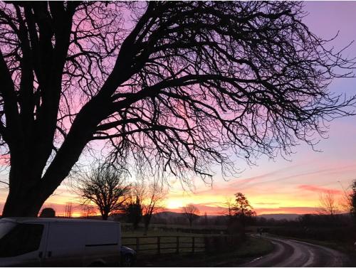 a truck parked next to a tree on a road at Apartment above Samantha Dadd Art Studio - in the Cotswolds in Tewkesbury