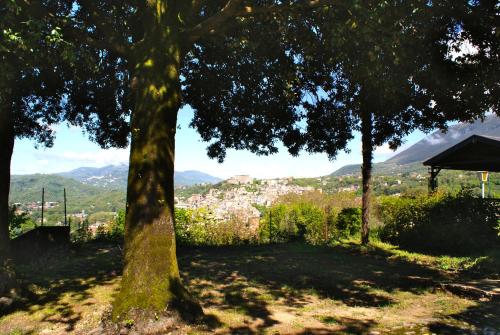 a view of a city from between two trees at B&b Il Leccio in Subiaco