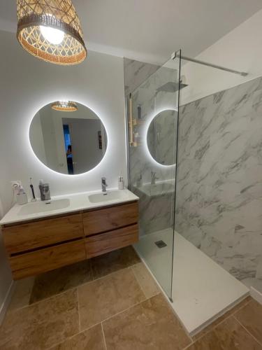 une salle de bain avec une douche, un lavabo et un miroir dans l'établissement Appartement T3 à Bayonne avec terrasse de 14 m2, à Bayonne