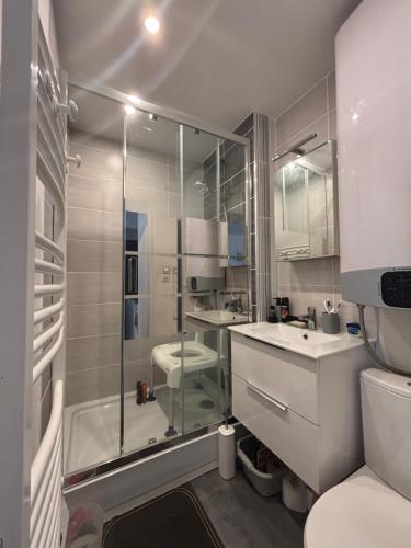 une salle de bain avec une douche, un lavabo et des toilettes dans l'établissement Logement de plein pied tout confort, au Barcarès