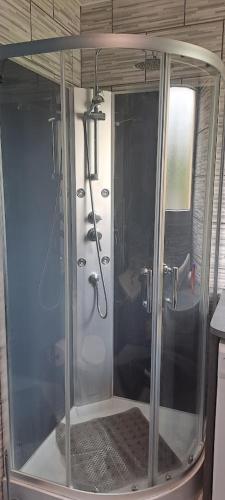 a shower with a glass door in a bathroom at Appartement T1 central pour cures courts séjours in Saint-Paul-lès-Dax