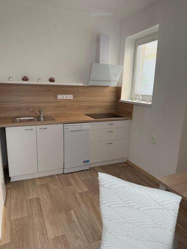 Kuchyň nebo kuchyňský kout v ubytování Apartmán Danimo